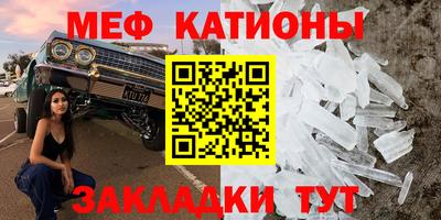 прущие грибы Ирбит